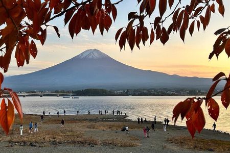 Custom Private Mt Fuji Day Tour from Tokyo
