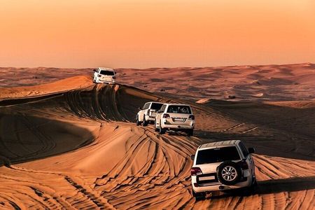Doha Desert Safari Sand Boarding Camel Ride and Inland Sea Tour