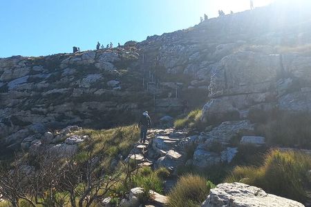 Table Mountain Tour including Pick Up & Drop Off from Cape Town