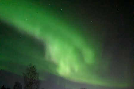 Northern Lights Walk to Old Kemi with BBQ and Arctic Views