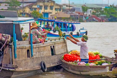 Small-group Mekong Delta Day Trip: Cai Rang Floating Market