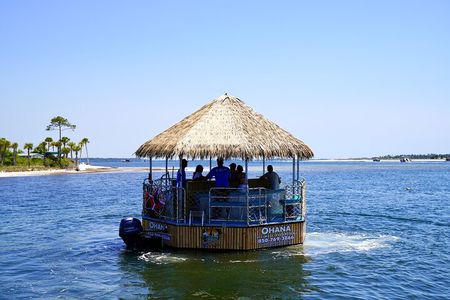 Dolphin Sightseeing Tiki Boat Tour 90 minutes