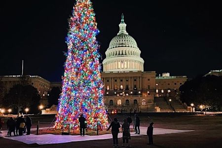 Holiday Lights Night Tour with 10 Stops, Admission Ticket Options