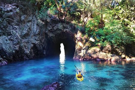 Whenuakura Island Kayak Adventure Guided Tour