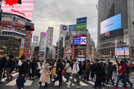 Tokyo Private Half-Day Tour by Car with Local Guide