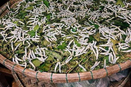 Hoi An Old Town Tour Explore the Ruins of Hoi An's Trading Port