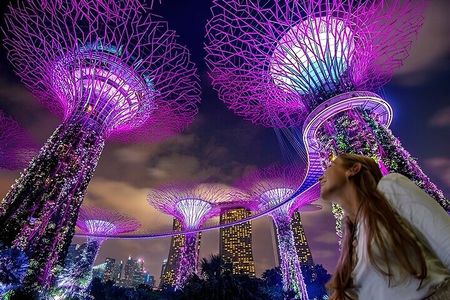 Singapore Guided Night Tour with 2 Light Shows & River Cruise 