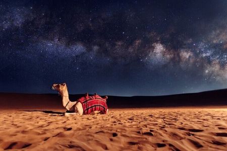 Doha Night Desert Safari with Dune Bashing,Stargazing & Adventure