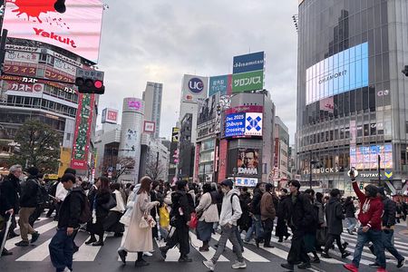 Tokyo Private Half-Day Tour by Car with Local Guide