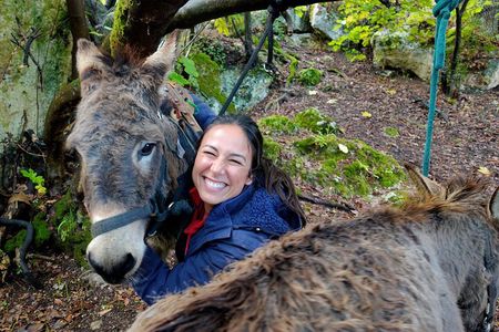 Sassari: hiking with donkeys in Cargeghe and aperitif