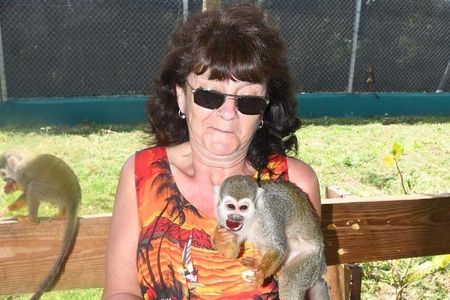 Puerto Plata: Tour and Monkey Home from Taino Bay and Amber Cove