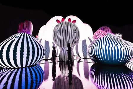 Balloon Museum Dallas Admission