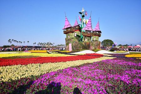 Taichung Day Tour from Taipei: Gaomei Wetlands, Rainbow Village