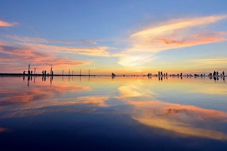 Gaomei Wetland Day Trip from Ximending