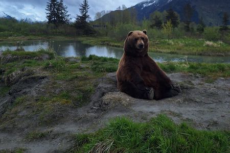 Full-Day Tour in Turnagain 
