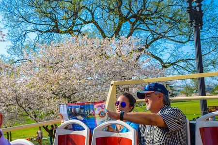 Best of DC: Hop-on Hop-off Tour, Sunset Tour, and Arlington