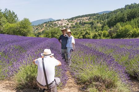 Provence Lavender Full Day Tour from Avignon