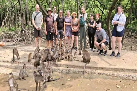 Can Gio Mangrove Biosphere Reserve Canoe & Wildlife Tour