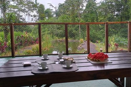 Medicinal plant class Tour & Tea Making Class