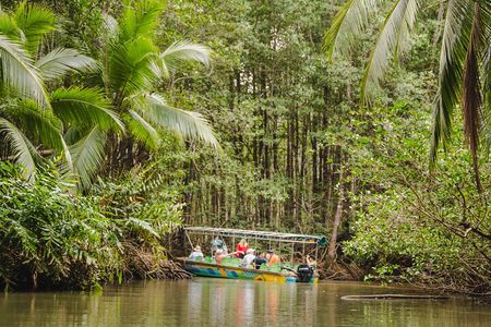 Mangrove Boat 
