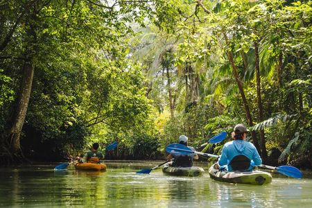 Mangrove Kayak 