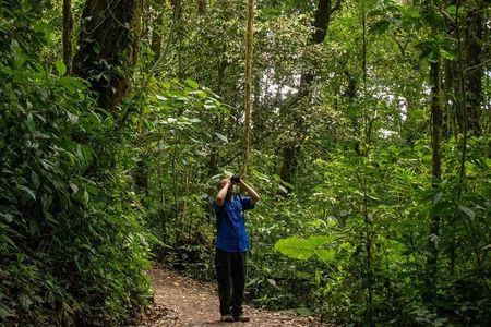 Santa Elena Cloud Forest Reserve Guided Tour