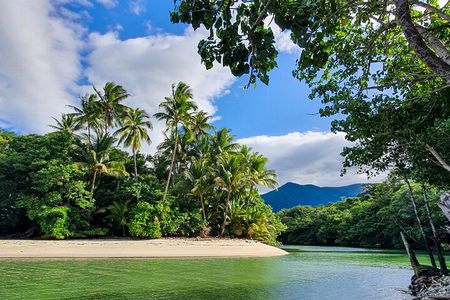 Private Luxury Daintree Dream Tour All Inclusive 