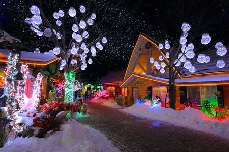 Eobi Ice Valley& Nami Island with Garden of Morning Calm Trip 