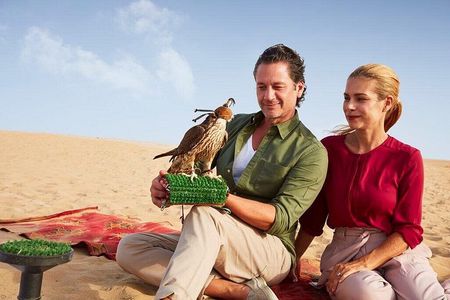 Dubai: Royal Falconry Training Experience