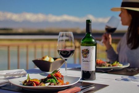 Winery in Valle de Uco with Premium Tastings and Gourmet Lunch