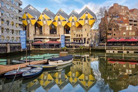 Rotterdam Walk: Hilights, Gems, Architecture & WWII | 2 or 3hrs