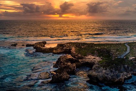 Rottnest Island Seals Sunset and West End Bus Tour