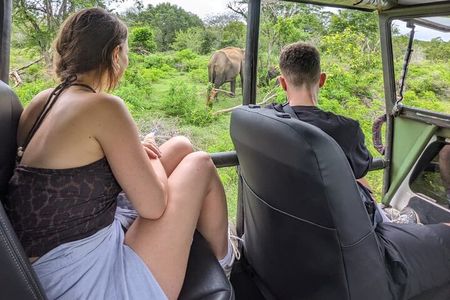 Yala National Park Safari Tours 