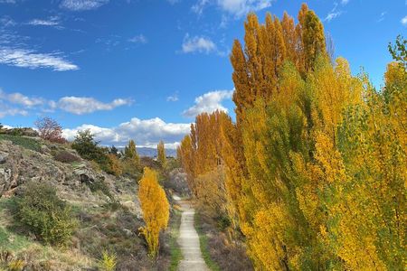 Highlights of the Otago Rail Trail: all-inclusive eBike Tour