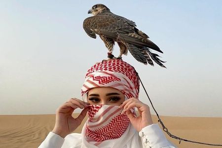 Private Evening Desert Safari with BBQ Dinner at Premium Camp