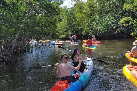 Manatee Encounter Guided Eco Kayak or Paddle Board Adventure