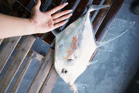 Phu Quoc Offshore Fishing Tour