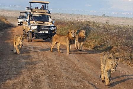 Nairobi National Park–A Safari Adventure at the Edge of the City