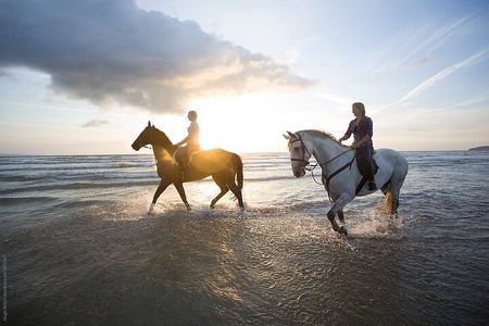 Guided Horse Riding and Sightseeing Beaches in Mahdia