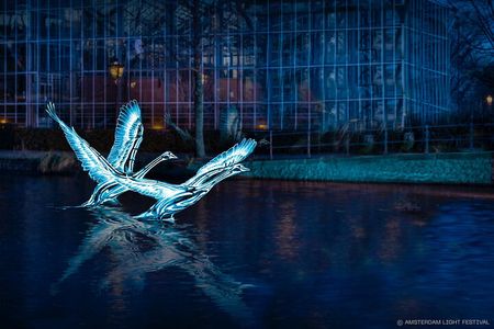 Amsterdam Light Festival Canal Cruise With Unlimited Drinks