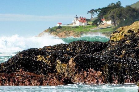 Coastal Hiking Adventures on California's Central Coast