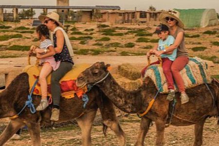 Marrakech Day Trip: Atlas Mountains, Waterfalls & Camel Ride
