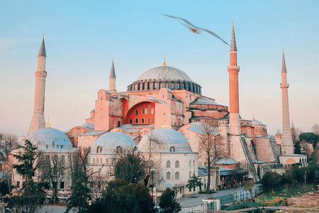 Istanbul: Full-Day Highlights Tour with Guide