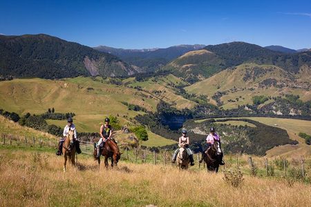 High Country Enchantment Full-Day Horse Trek