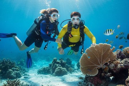 2 dives on coral reefs - no prior experience required 