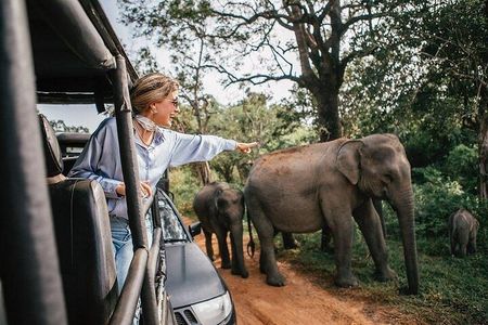 Private Jeep Safari in Yala and Bundala National Parks 