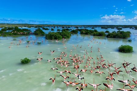 North and Middle Caicos Island Private Tour