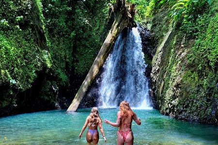 Annandale & Seven Sisters Waterfall with Grand Etang Lake