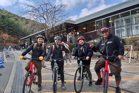 Osaka Half-day E-bike Tour: Minoh Falls & Katsuoji Temple