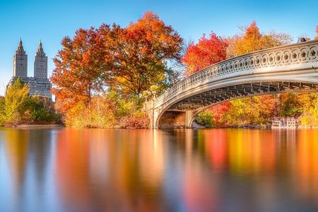 Central Park Guided Walking Tour - Natural Marvels